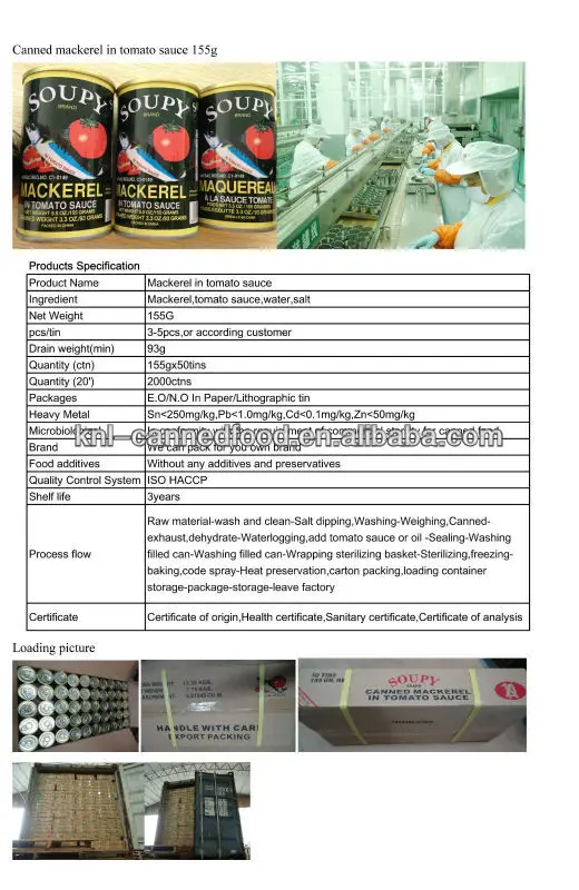 best canned mackerel brands mackerel in tomato sauce 155gX50tins