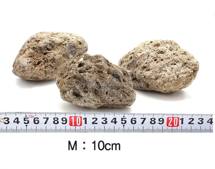10cm.png