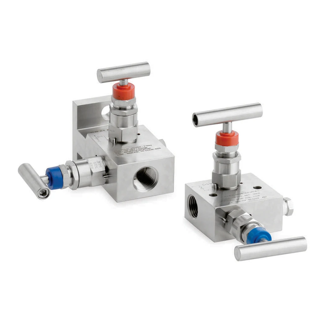 2 way manifold valve