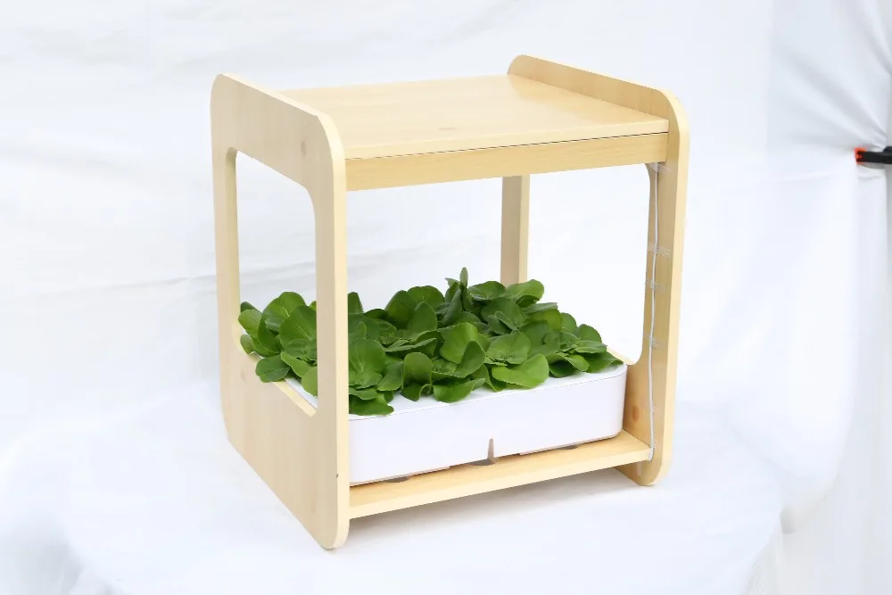 Small hydroponic system 2