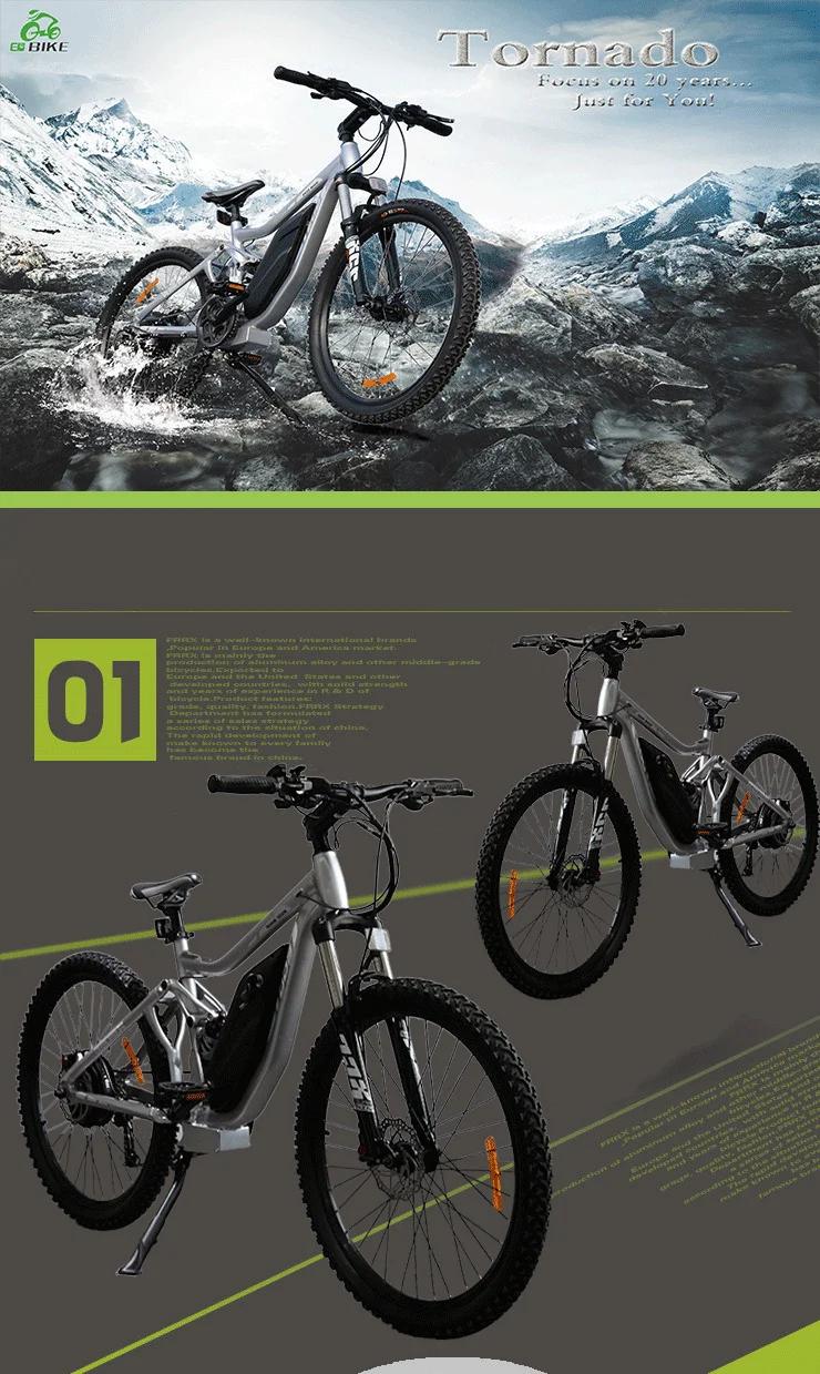 green power classic 5 electric bike