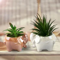

Factory Direct Ceramic White Elephant Animal Shape Flower Pot Succulent Planter New Style