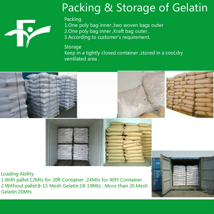 5.Packing & Storage of Gelatin