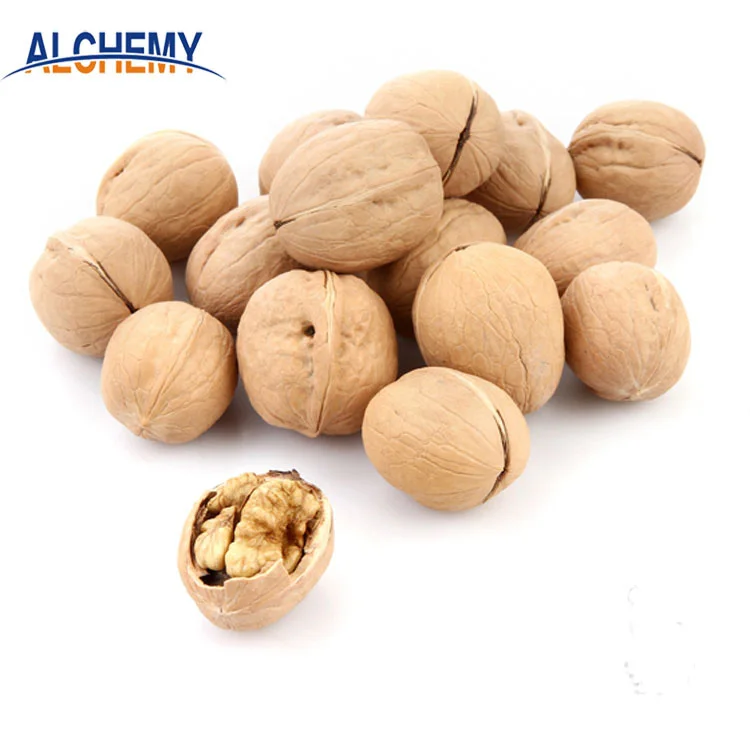 
China xinjiang wholesale price for sale kernel walnuts in shell 