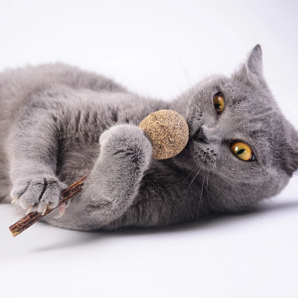 Cute Pet Cat Chew Toys Catnip Lollipop Cat Tooth Cleaning Molar