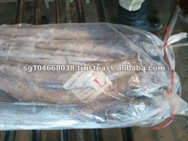 2011-12-20 09.35.18.jpg