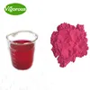 beetroot extract/beetroot juice powder/sugar beet p.e.