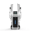 Best price reduction de la anti cellulite cryolipolysis