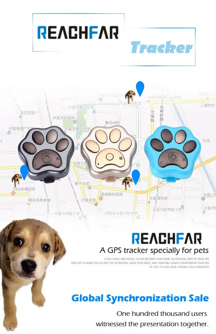 ワイヤレス動物追跡デバイスgps猫追跡首輪ペット犬猫用gpsトラッカー Buy 動物追跡装置 猫 Gps 追跡装置 猫追跡システム Gps Gsm Product On Alibaba Com