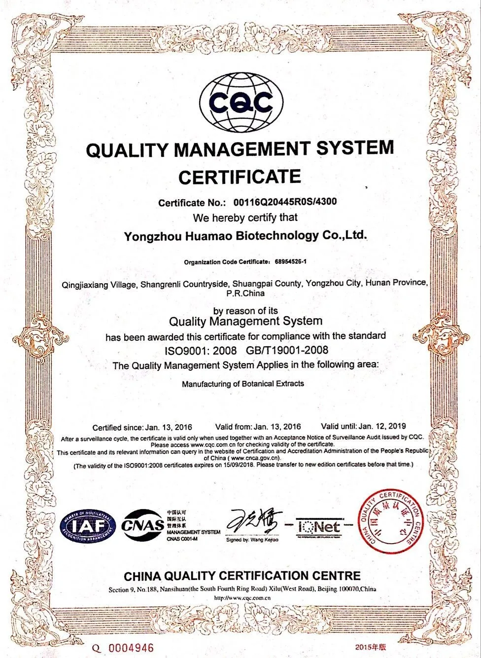 Sampel Gratis Manfaat Aloe Vera Gel Untuk Kulit Buy Aloe Vera Gel Untuk Kulit Gel Lidah Buaya Untuk Kulit Manfaat Aloe Vera Gel Product On Alibaba Com