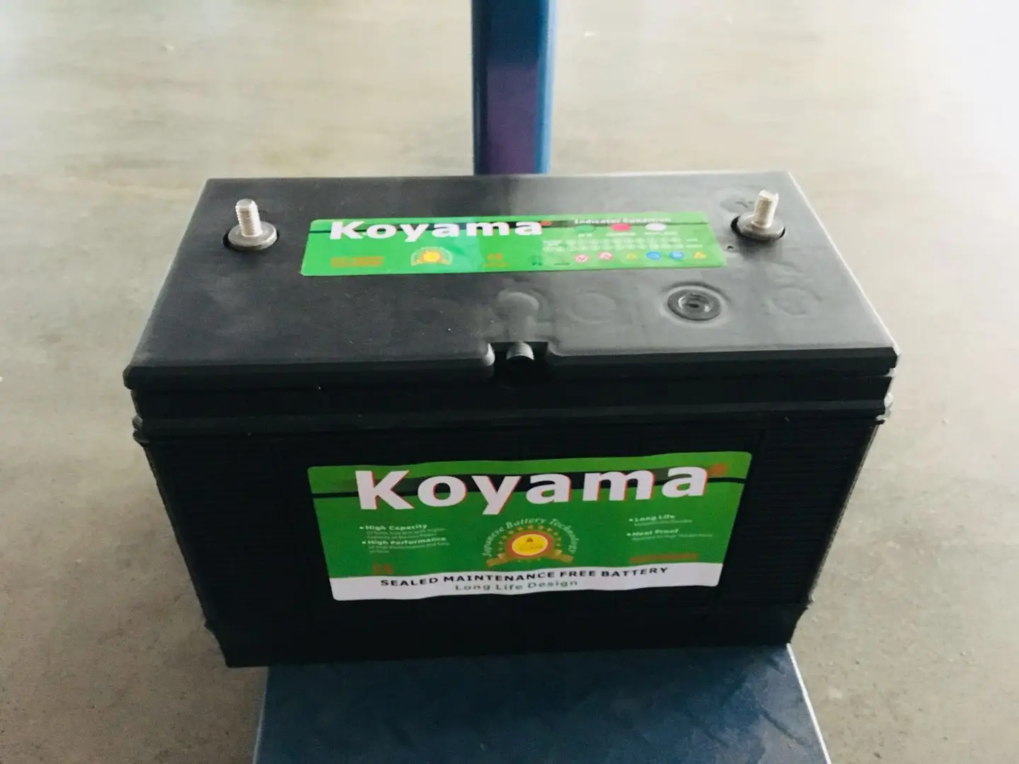 BCI31T-koyama1.jpg
