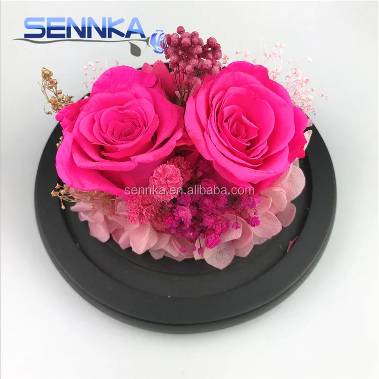 roses preserved in glass