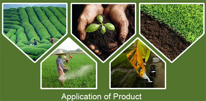 urea and fertilizer.jpg