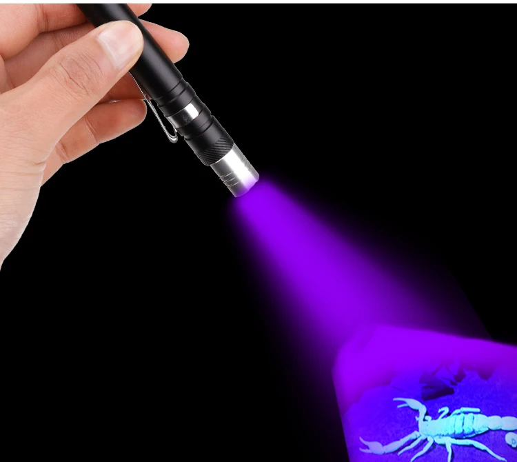 Portable Medical Flashlight,Eye Doctor Torch,Led Medical Pen Lights For