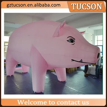 giant inflatable pig