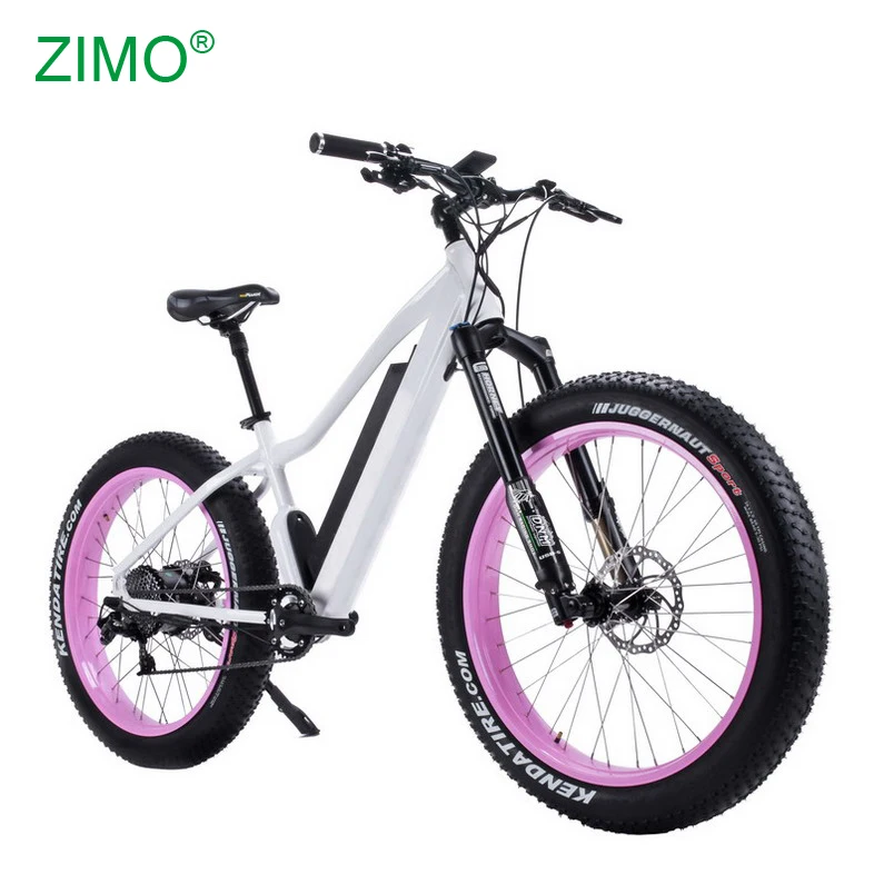 

2019 New 750w Pedal Assist Electric Fat Bike for Women