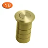 Support Dowel Pin/Stainless Steel Brass Dowel Pin for Smart Door Lock/Cabinet Shelf Pin Push Rod