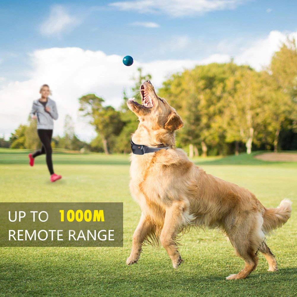 dog shock collar afterpay