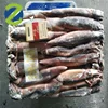 Sea Frozen Whole Round Illex Squid Argentina Squid