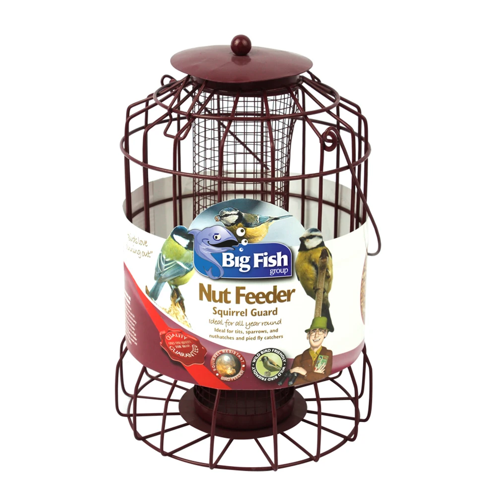 Traditional Nut Squirrel Guard Proof Fancy Bird Feeders Buy Fancy