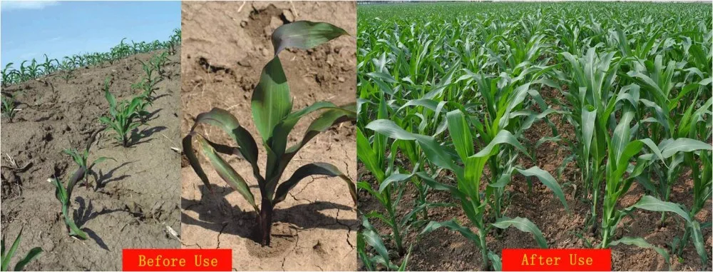 500-Triple Super Phosphate