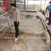 Factory Free sample automatic used poultry battery cages for sale pakistan