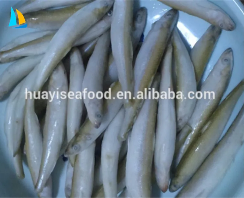 Natural Frozen Fresh Bulk Pond Smelt Fish With Competitive Price Buy