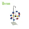 Atomic orbital Structure Model
