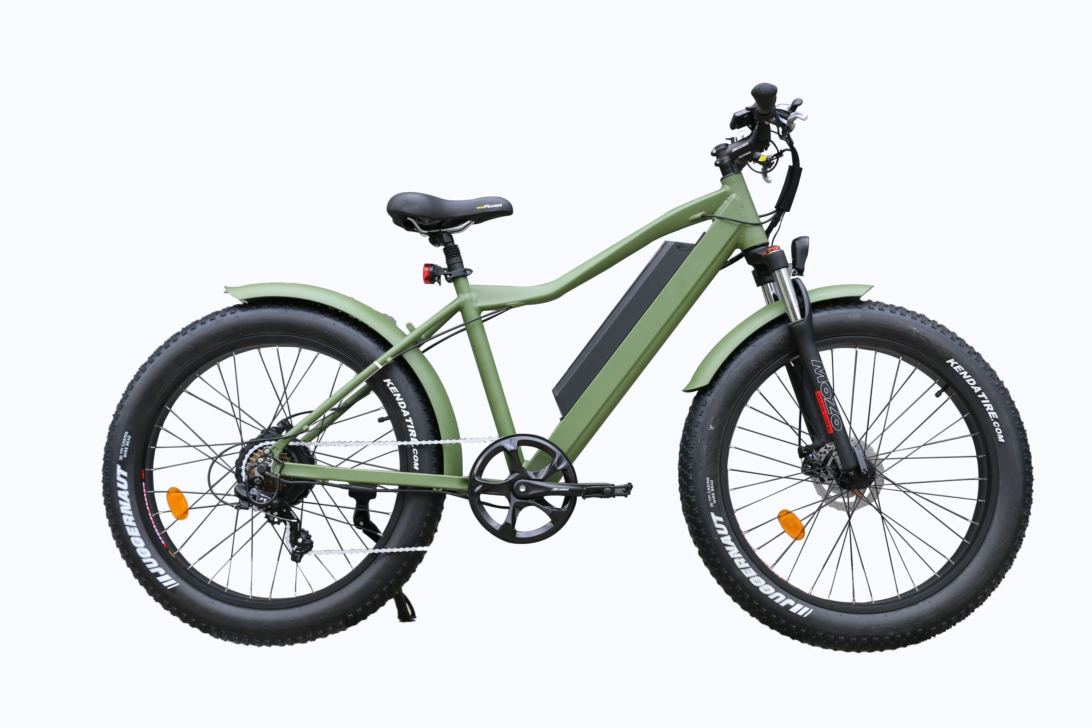 other electric bike