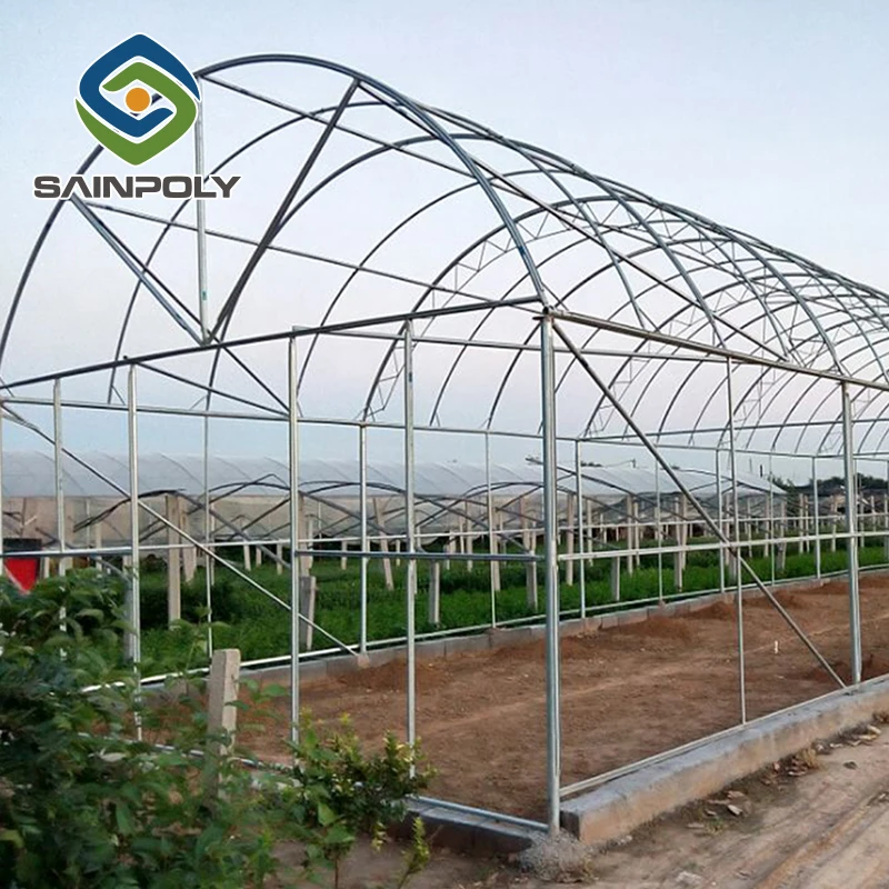 Cheap Industrial Multi Span Greenhouse Plastic Film Green House