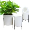An iron flower pot suitable for planting green leaves without taking care of it