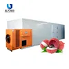 Popular Long Service Life Apple Dryer Lemon Drying Litchi Processing Machine Dehydrator Equipment