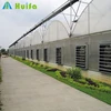 Multi span hoop houses greenhouses for vegetable