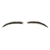 

Free Sample K.S WIGS Woman One pair Lace Base 100% Human Hair False Eyebrows