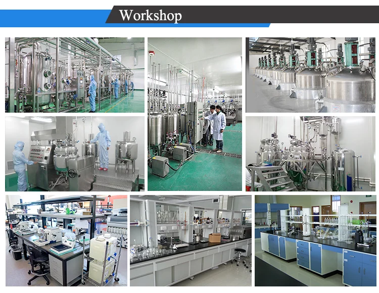 
Top Quality Best Price Testolone RAD 140 Sarm/RAD140 Powder 