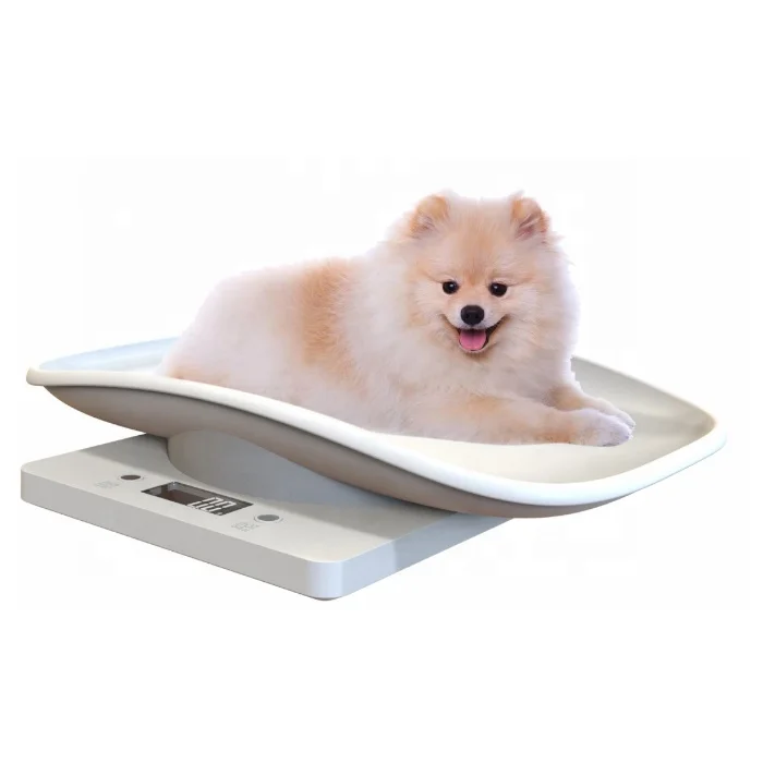 

J&R China Suppliers 10KG Used Electronic Digital Animal Pet Platform Scales Cattle Weighing Scales for Cat Dog