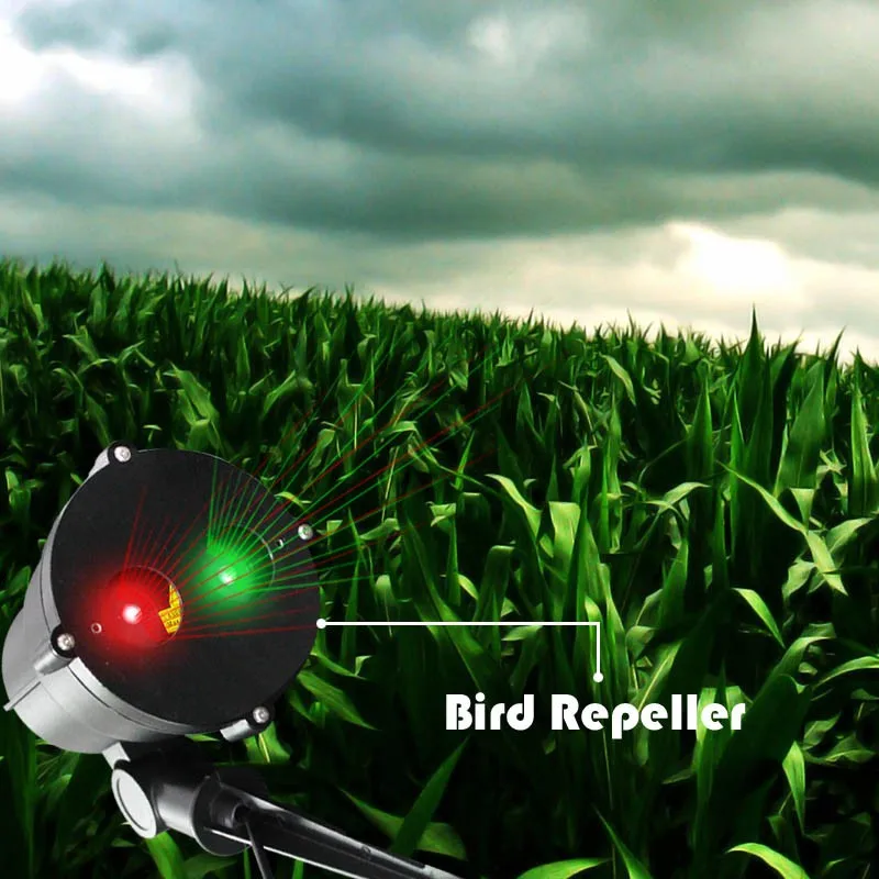 

Wholesale outdoor effect 6000 meters with timer RF remote control Laser Bird Control bird and pigeon laser repellent