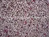 Cranberry Beans Light Speckled Kidney Beans Oval shape