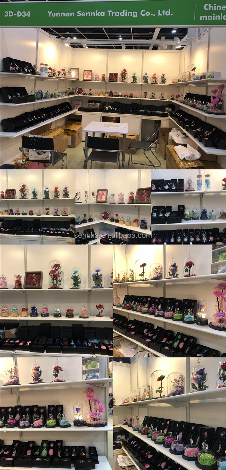 Preserved rose in ring box