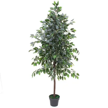 Factory Directly Sale Home Decoration Evergreen Plastic Trees