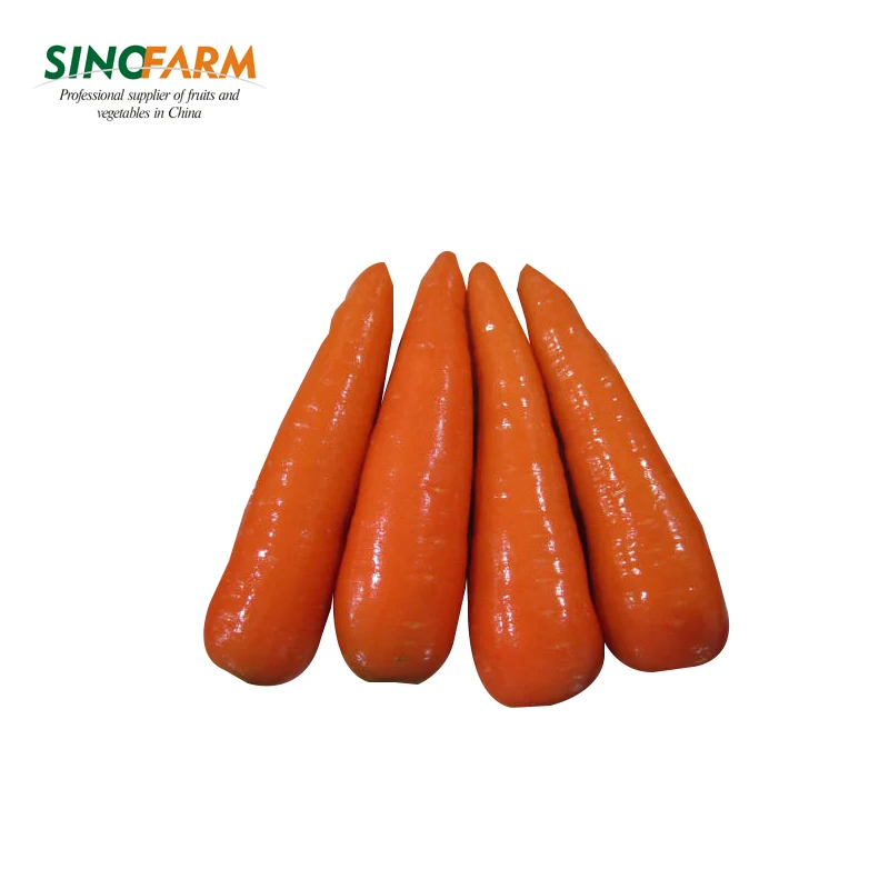 
Hot Selling chinese New Crop sell sell fresh carrot 