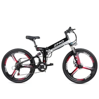 

26 Inch 48V 250W 350W Electric Mountain Bike With Integrated Wheel 10.4AH Hidden Battery E-bicycle