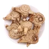 Traditional Chinese Herb Medicine Bai Ji Dried Rhizoma Bletillae form Bletilla Striata Root