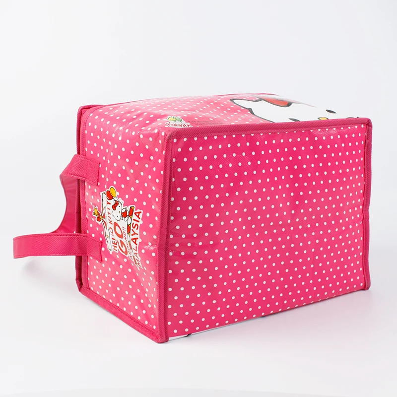 non woven cooler bag  (3)