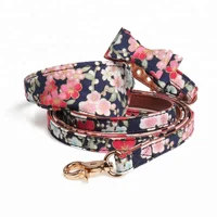 

Free Sample Adjustable Dog Collar Fashion Dog Collar and Leash