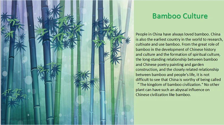 bamboo culture-750