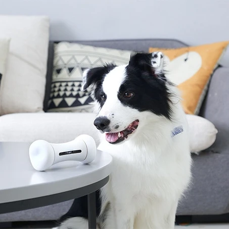 

2019 new bone shape electronic pet toy for dog/cat which remote control by Application, Bule/green/pink/white