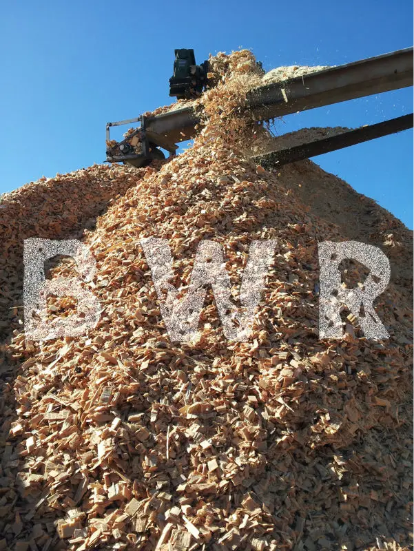 Pine Wood Chips Paper Grade Buy Pine Wood Chips,Softwood Wood Chips