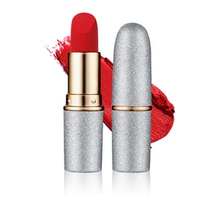 Small Quantity Private Label 10 Colors Fashion Long Lasting Matte  Lip Stick Waterproof Lipstick