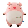 Factory direct explosion models pink expression pig pillow plush toy gift